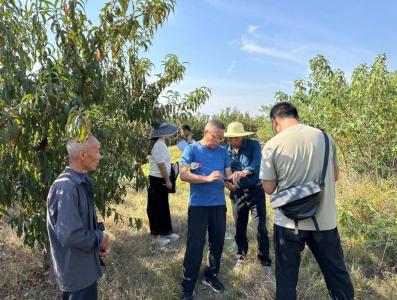 枣阳市土地储备供应中心：全力推进枣阳通用机场建设项目用地土地征收工作