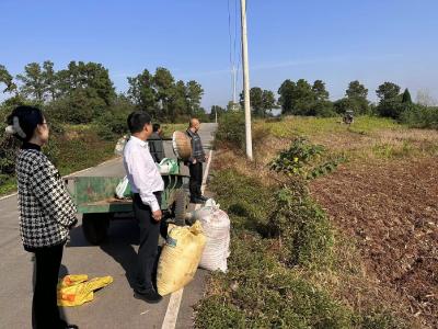 枣阳市王城镇：冬闲田变身增收田