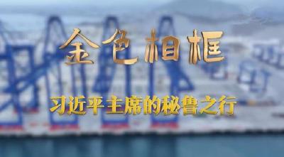 “从历史长周期把握世界大势”——习近平主席出席亚太经合组织第三十一次领导人非正式会议并对秘鲁进行国事访问纪实
