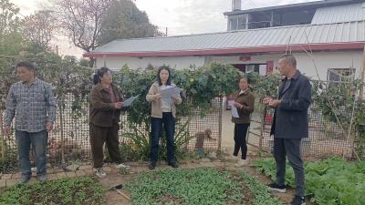 王城镇：践行“枫桥经验” 一线化解矛盾纠纷