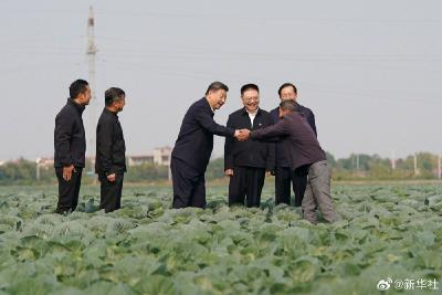 习近平：推进中国式现代化，必须加快推进乡村振兴