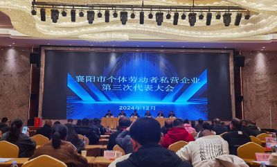 襄阳个协表彰最美“非公” 枣阳多家企业榜上有名