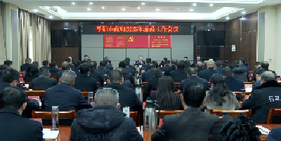 V视 | 市政府2025年廉政工作会议召开