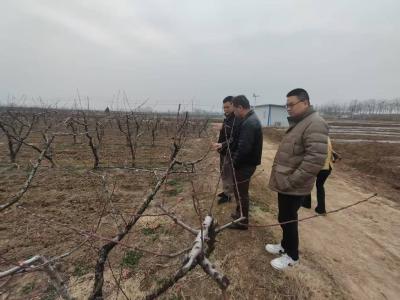 新市镇：专家来助力 春管正当时