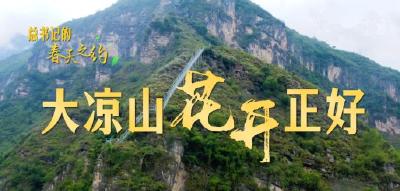 总书记的春天之约｜大凉山花开正好