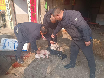 枣阳市查获两起贩卖野生动物案件