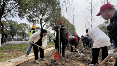 枣阳经开区：种植绿色希望 共建美好家园