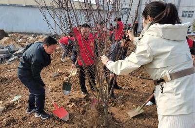 枣阳经开区：政企同心添新绿 共建生态产业园
