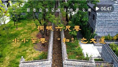 跟着总书记探寻中华文明｜桐城六尺巷：小小窄巷 “和”之大道