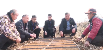 V视 |王城镇纪委：跟进监督当好春耕“护航人”