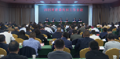 V视 |杨晶在市委农村工作会议上强调，拉升标杆、奋发有为，推动全市“三农”工作再上新台阶