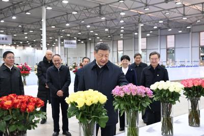 时政微观察丨徙木立信，久久为功