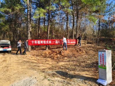 随阳管理区王湾社区：奏响清明防火“三部曲”  守护绿色家园
