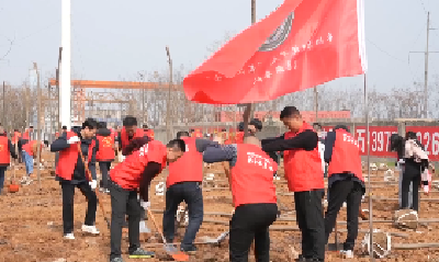 V视 |市住建局：植绿护绿 共筑美丽家园