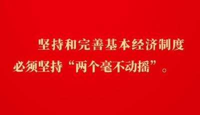 金句｜坚持和落实“两个毫不动摇”，总书记这样深入阐述