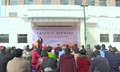 V视 |平安产险“乡风文明100行动”走进平林镇平林村