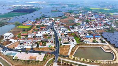 兴隆镇杨楼社区：生态宜居地 幸福新农村