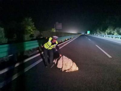 凌晨高速现棉被隐患 枣阳交警迅速行动保安全