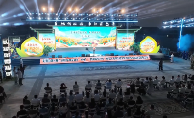 V视 | “荆楚四季村晚”2025年全国夏季“村晚”基层示范展示暨枣阳市第四届“皇桃”采摘季活动举行