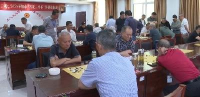 V视 | 智弈枣阳 棋韵飘香