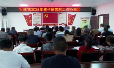 V视 | 早行动细部署 让平林鲜桃“产得出”更“卖得好”