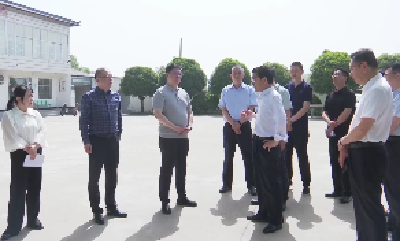 V视 | 杨晶调研乡村振兴“四项行动”时强调：系统谋划  精准发力  奋力谱写乡村振兴枣阳篇章