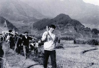从50年前的这篇报道，感悟总书记的劳动本色 