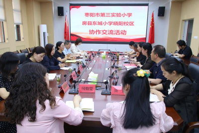 枣阳三实小：携手共进促发展  结对协作谱新篇