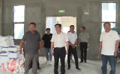 V视 | 曾刚调研重点项目建设工作