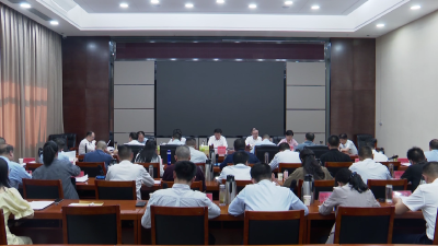 V视 | 市委召开专题会议研究经济运行工作