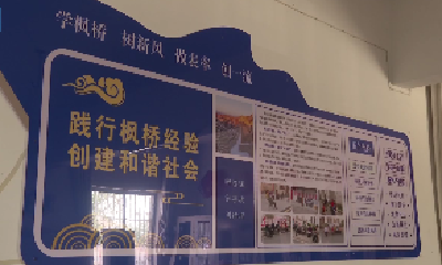 V视 | 全市新时代“枫桥经验”枣阳实践太平现场会暨座谈会议召开
