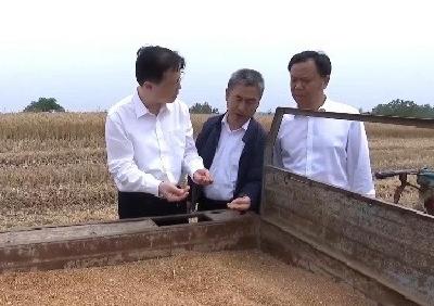 V视 | 诸葛宇杰到襄阳调研“三农” 、防汛抗旱等工作