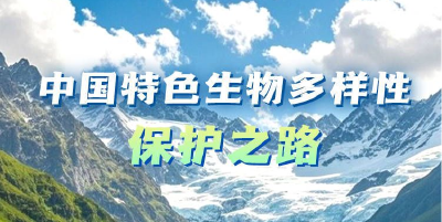 【讲习所·中国与世界】习近平：共建地球生命共同体 