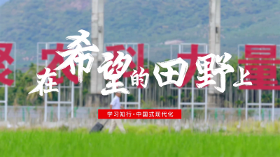 学习知行·中国式现代化丨在希望的田野上
