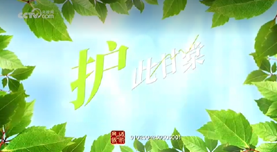 美丽中国我先行｜护此甘棠