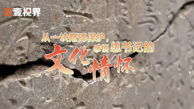 壹视界·微视频｜从一块隋碑保护，感悟总书记的文化情怀