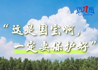 【讲习所·中国与世界】“人不负青山，青山定不负人”
