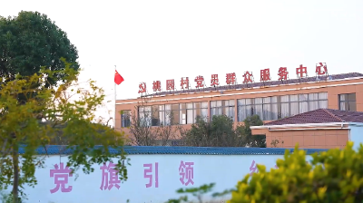 湖北枣阳：桃园蝶变展新颜 和美乡村入画来