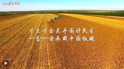 总书记的关切·落地的回响 | 保护黑土地 大国粮仓更稳固