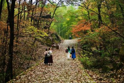 湖北枣阳：彩叶缤纷醉游人