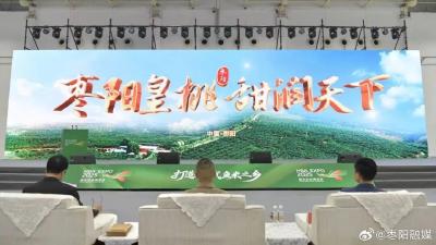 147.31亿元！2024-2025年度“枣阳皇桃”区域公用品牌价值发布