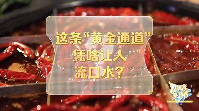 改革者 正青春｜这条“黄金通道”凭啥让人流口水？