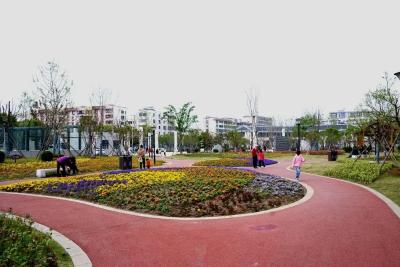  湖北枣阳：“十四五”城区增绿102万㎡ 绘就生态新画卷