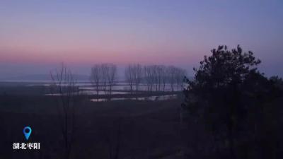 湖北枣阳：冬鸟翔集 生态画廊