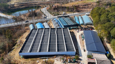 湖北枣阳：香菇种植引领村民家门口增收