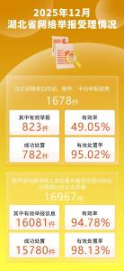 2025年12月湖北省网络举报受理情况