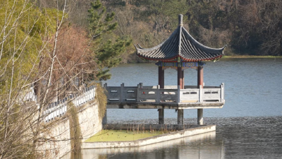 湖北枣阳：乡村振兴"四项行动"绘就和美乡村新画卷