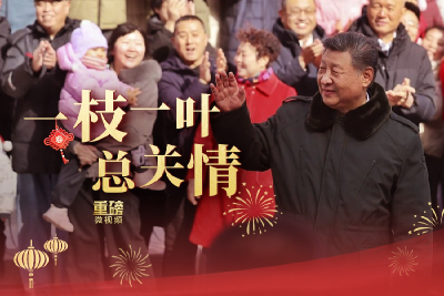 重磅微视频丨一枝一叶总关情