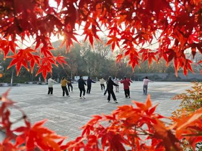 图集丨光影绘晚晴：枣阳老年大学以镜头书写银龄风采