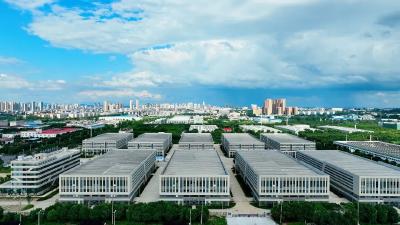 “追”了四年，“宠”出一个产业集群